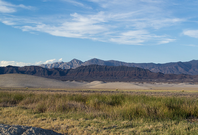 Tecopa Hot Springs, CA (0027)