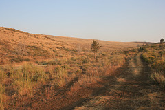 IMG_8781
