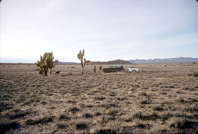 Near Meadow Valley Wash