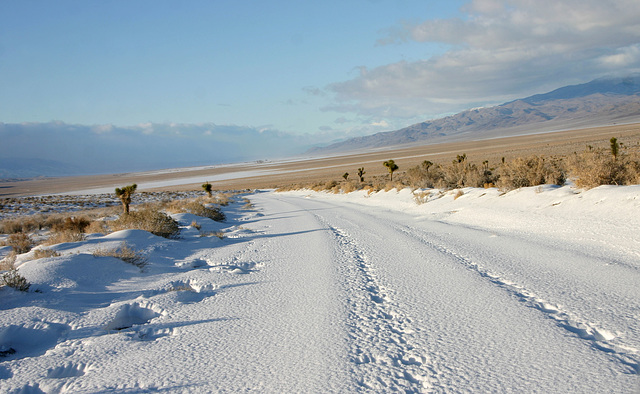 Fish Lake Valley