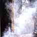 Montecito Sequoia, 1991