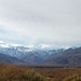 DSC_0266_adj