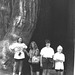Montecito Sequoia, 1991