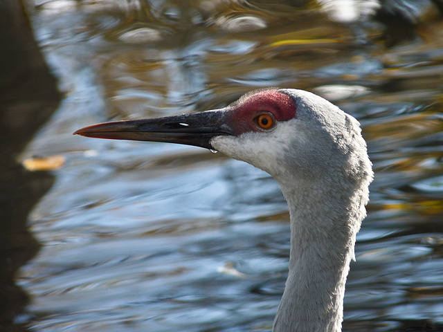 On marbled waters