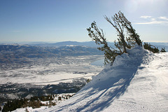 Washoe Valley View