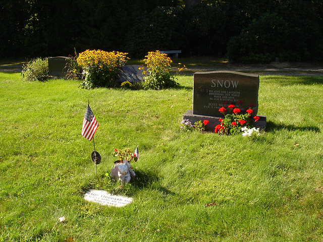 Snow among the greenery / Neige sur pelouse - 6 septembre 2009.