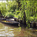 Spreewald 030