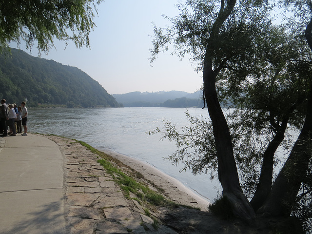 A la pointe de la confluence de Passau.