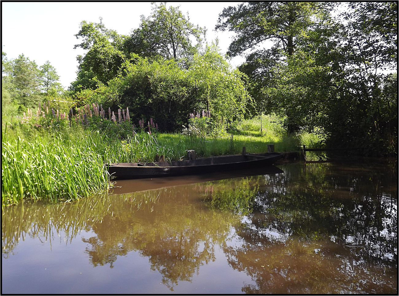 Spreewald 035