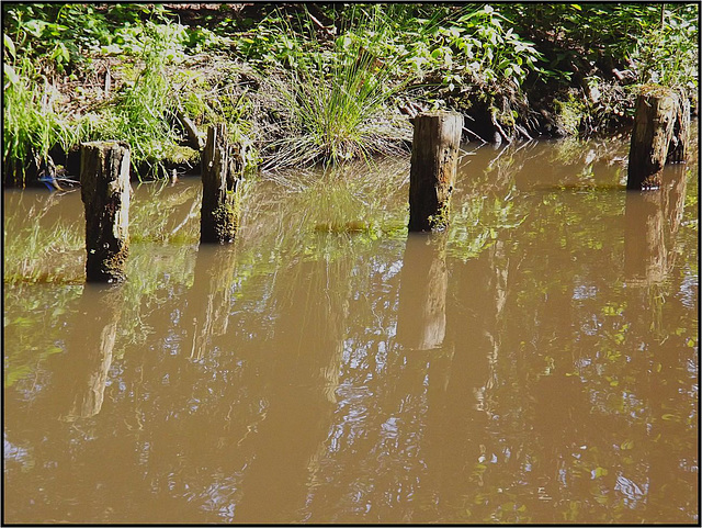 Spreewald 036