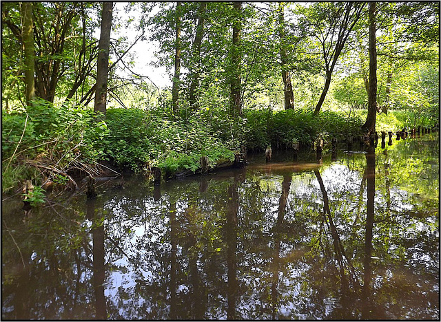 Spreewald 037