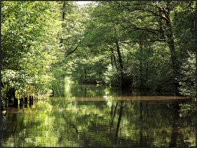 Spreewald 039