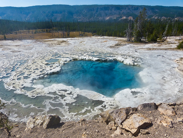 Artemisia Geyser, Yellowstone National Park