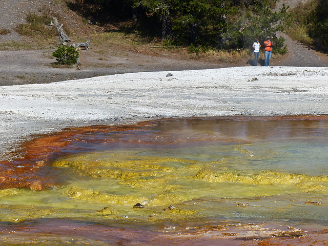 Mother Nature's paint pot