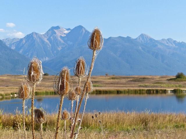 Mission Mountain Range, Montana