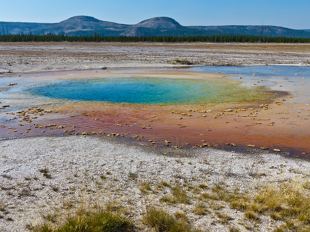 Opal Pool, Midway Geyser Basin, Yellowstone National Park