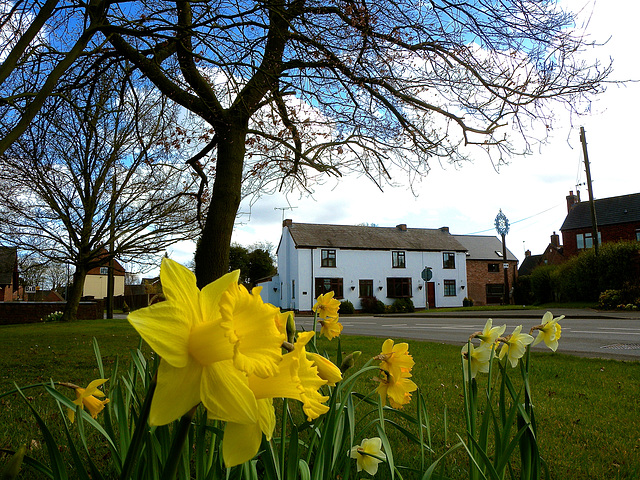 Haughton, Staffordshire