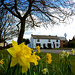 Haughton, Staffordshire