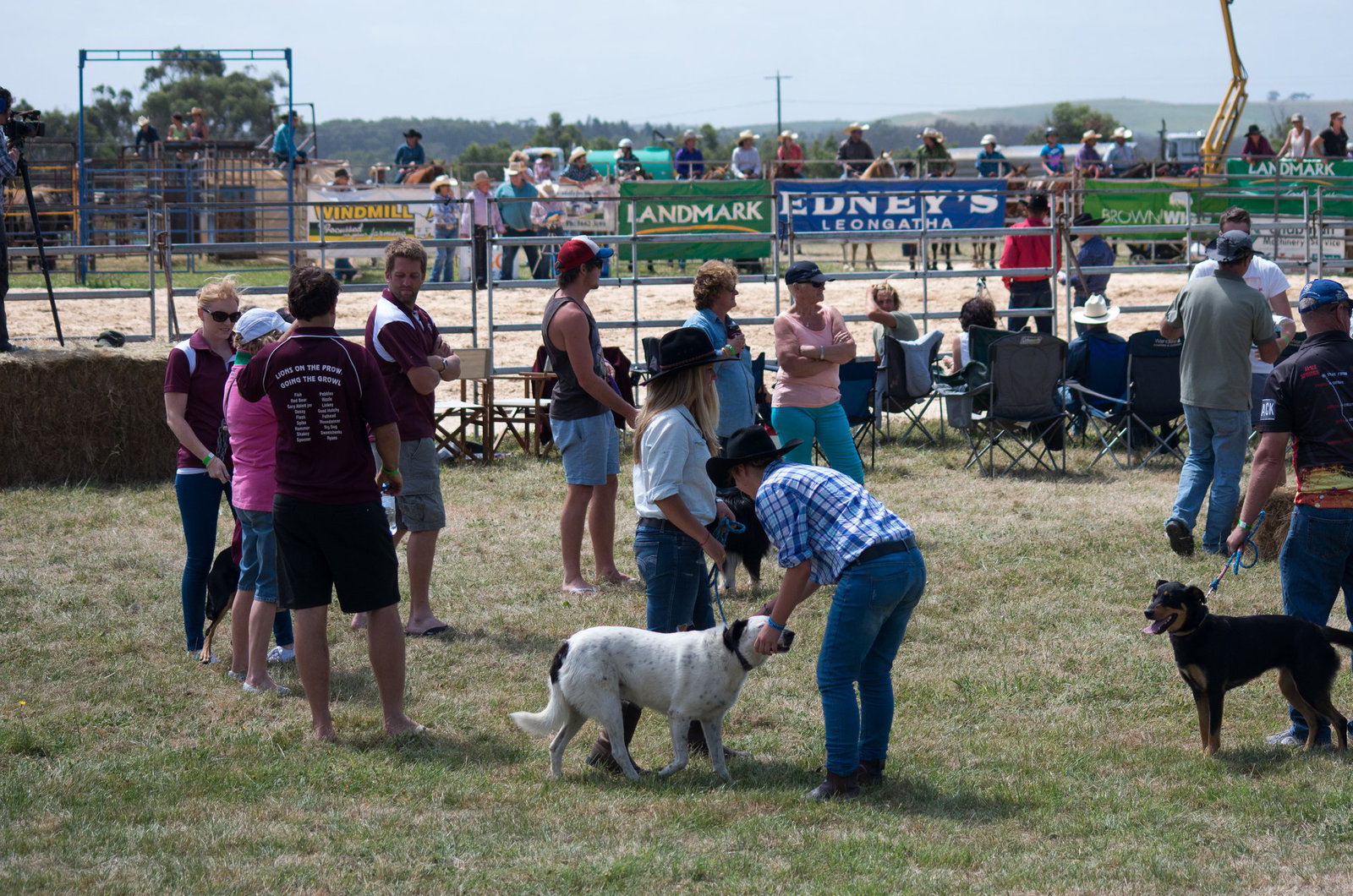 Stony Creek Rodeo 2014