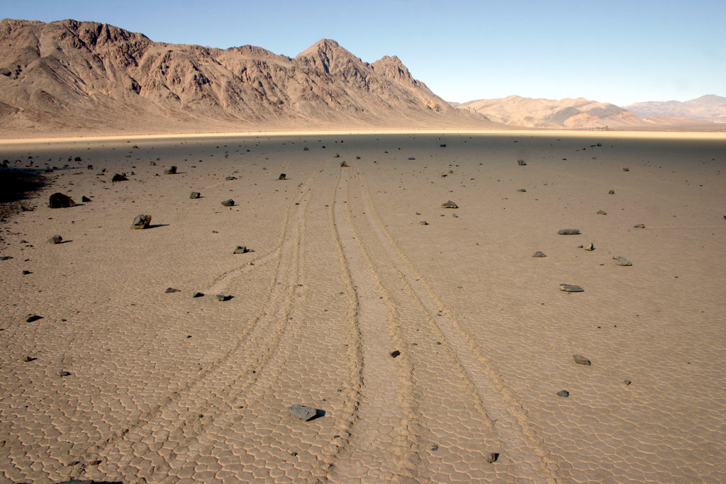 The Racetrack