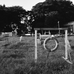 Athletic dog club Athletic dog club