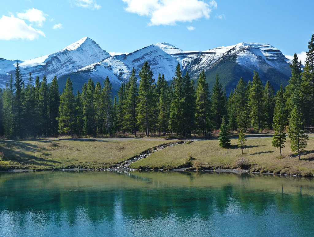 Forgetmenot Pond