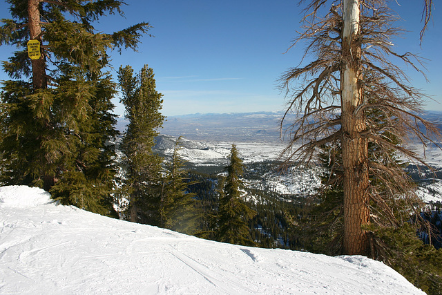 Looking toward Reno