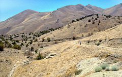 Mill Site, Wildcat Canyon