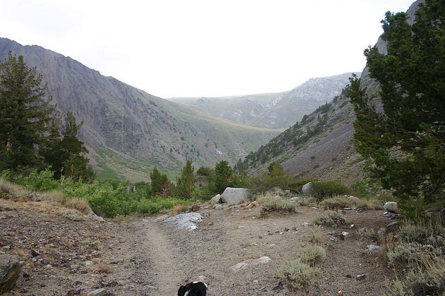 McGee Creek, Sierra Nevada, California, USA