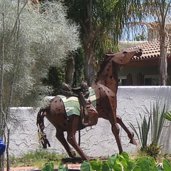 Palm Springs iron horse 3344a2