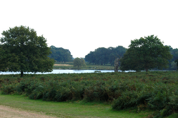 View over Pen Ponds