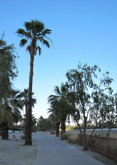 Riverside Dr. Palm Springs 0035a