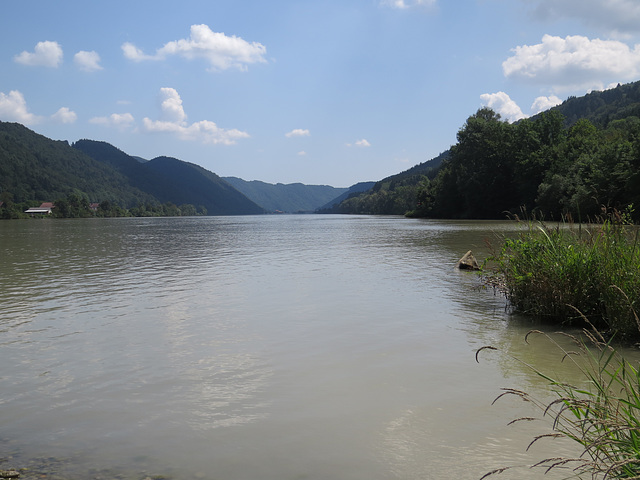 Le Danube à hauteur d'Oberrana