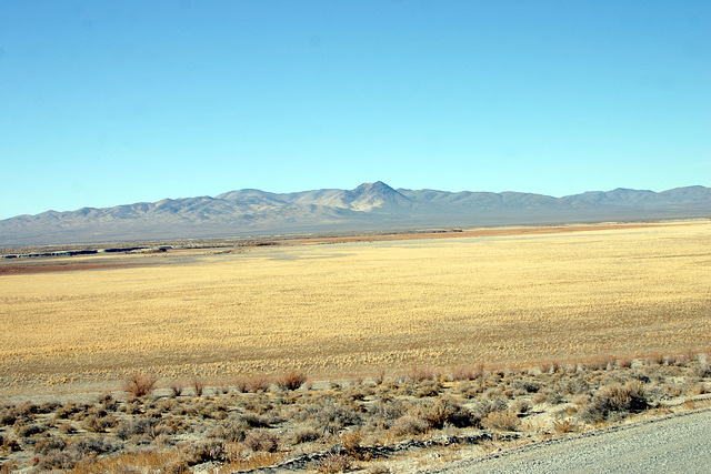 Rye Patch Reservoir _bed_