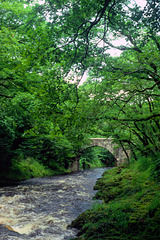 The River Dart, Dartmoor