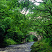 The River Dart, Dartmoor