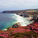 Cornwall Coast near Portreath