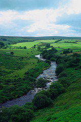 The Moors, Dartmoor