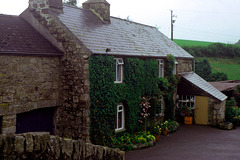 Dartmoor Cottage