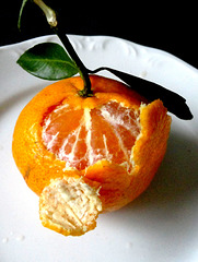 Citrus bergamia