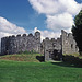 Restormel Castle, Cornwall