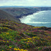 Cornwall Coast near Portreath