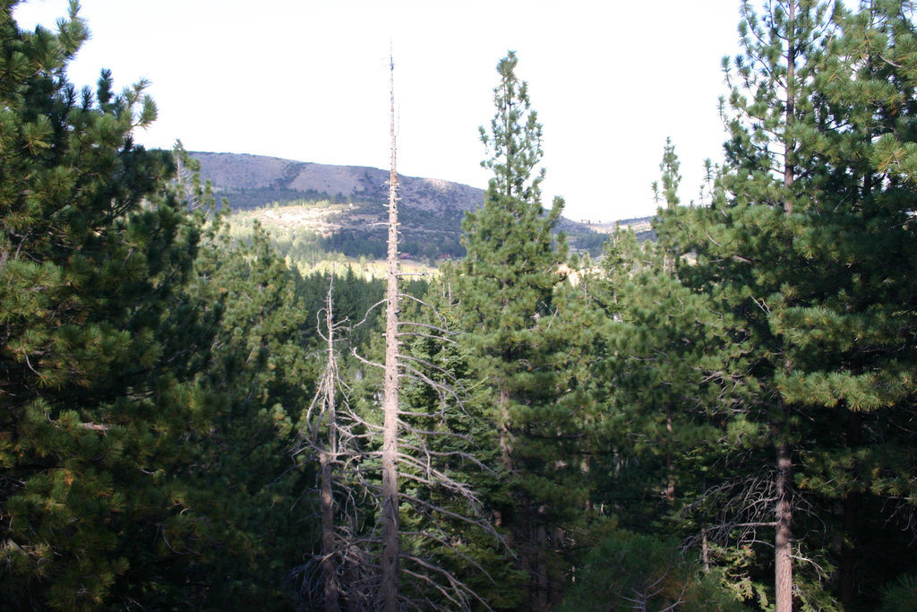 IMG_8024
