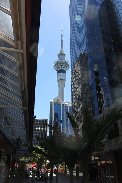Auckland, NZ, 23 Jan 2012