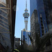 Auckland, NZ, 23 Jan 2012
