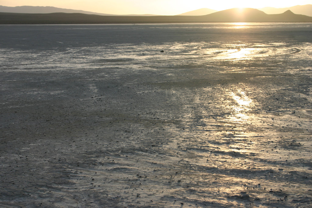 Dried shiny mud
