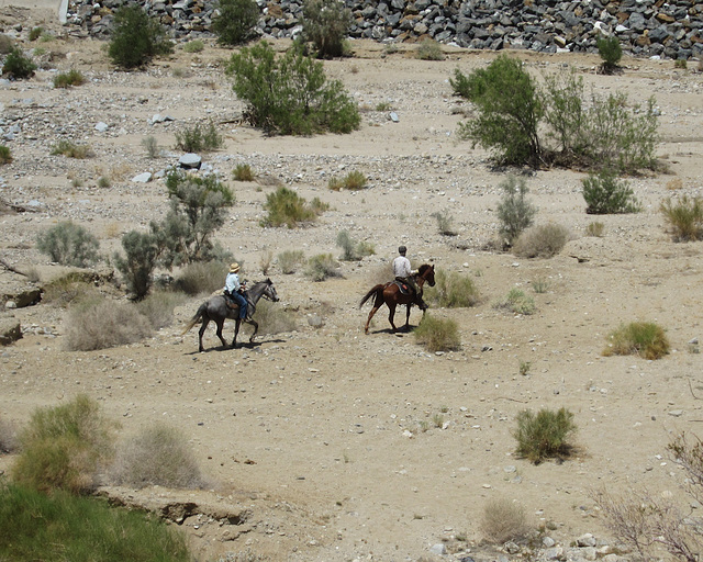 Henderson Trail Palm Springs (2536)