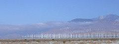 Wind Turbines, Palm Springs (2552a)