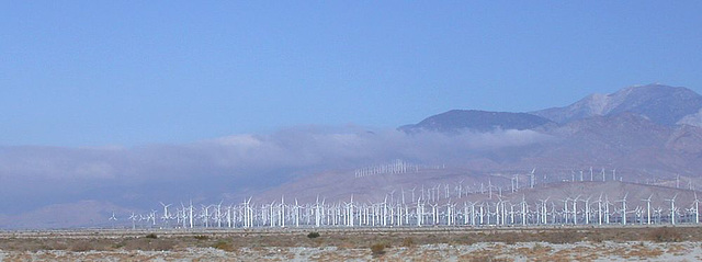 Wind Turbines, Palm Springs (2552a)