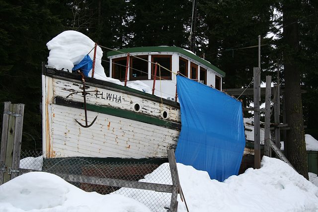 Dreaming of the Elwha